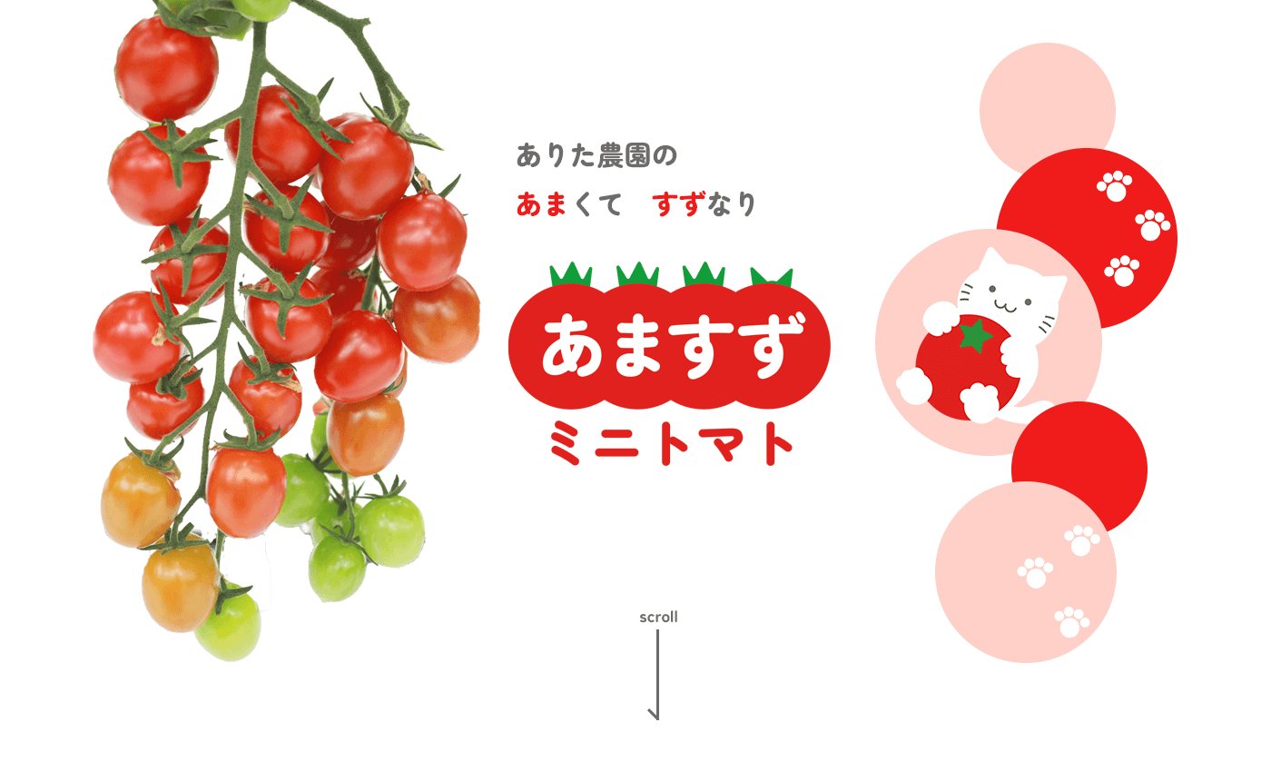 有田農園のあまくてすずなりあますずミニトマト